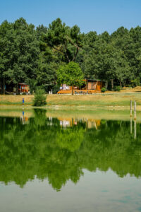 Vue paisible sur un étang en Dordogne Glamping écologique et haut de gamme près de Bergerac