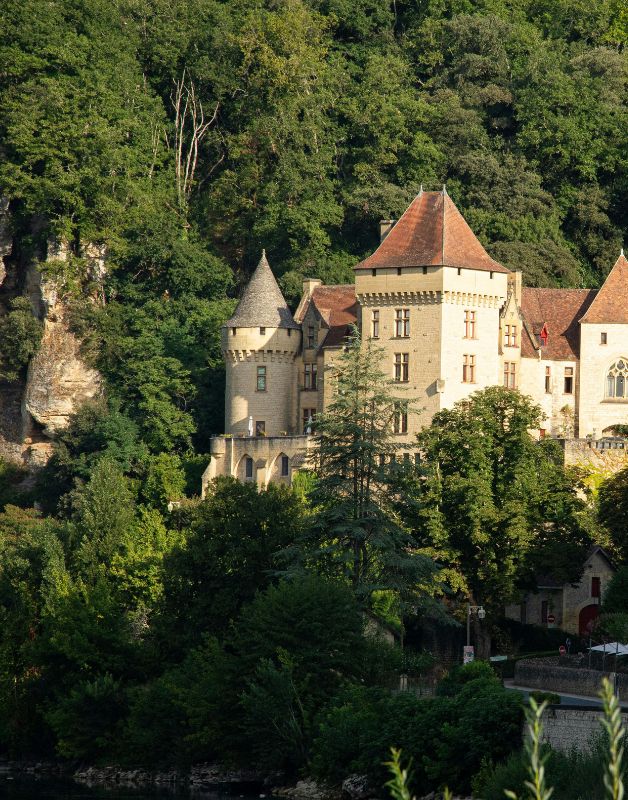 chateau dordogne