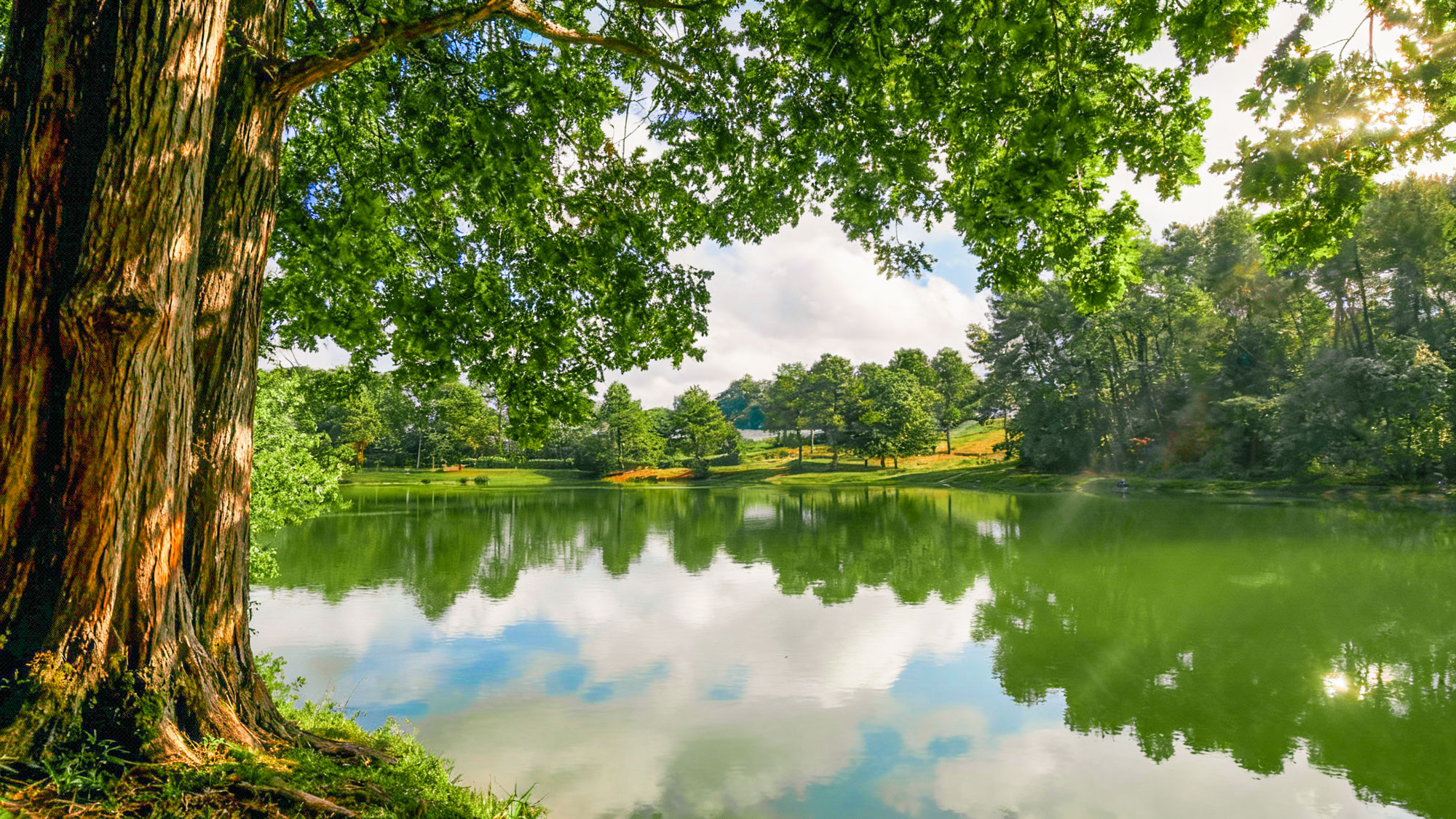 Camping nature calme et écologique à Douville, près de Bergerac en Dordogne