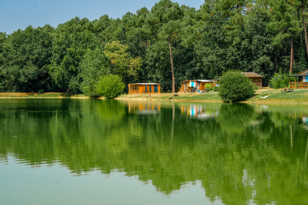 Pêche à l’étang dans un environnement calme en Dordogne