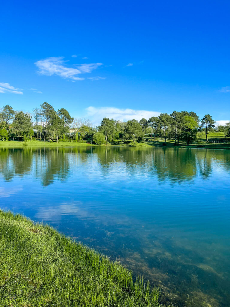 Moment de détente au cœur de la nature en Dordogne