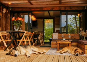 Dordogne avec mon chien , le guide pour des vacances inoubliables Dordogne avec mon chien , le guide pour des vacances inoubliables