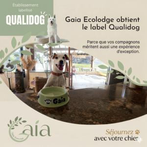 Gaia Ecolodge Qualidog photo remplac e () Gaia Ecolodge Qualidog photo remplac e ()