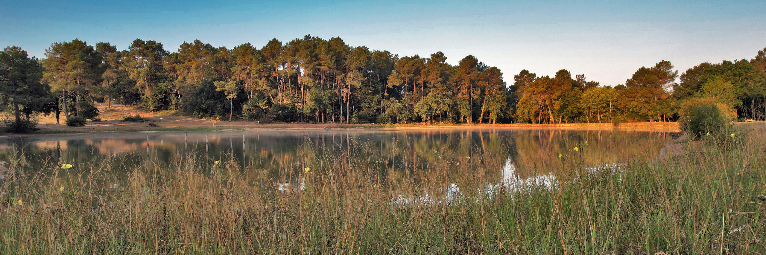 Vue de Gaia Ecolodge à Douville en Dordogne, avec son étang privé et son domaine arboré