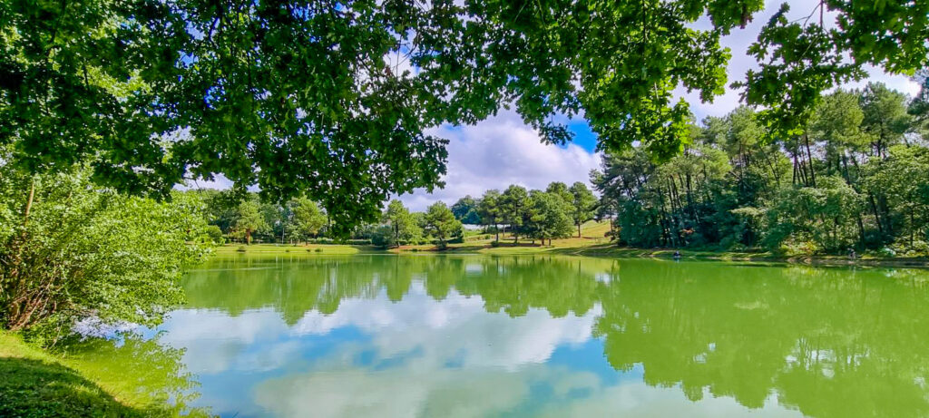 Étang privé de pêche de Gaia Ecolodge à Douville, près de Bergerac en Dordogne